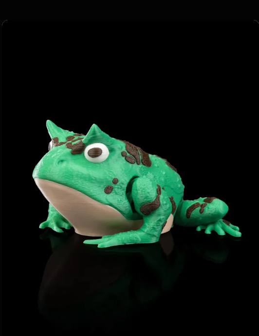 Harold, la grenouille cornue