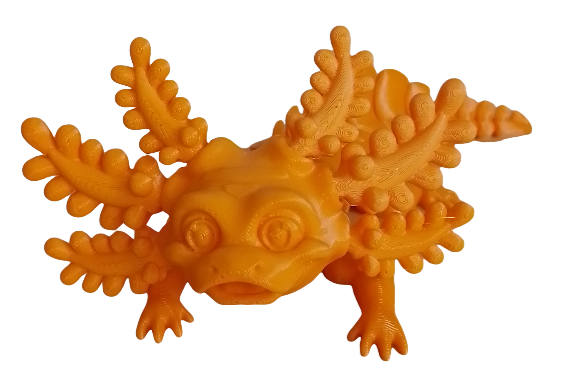 Axolotls 1 couleur