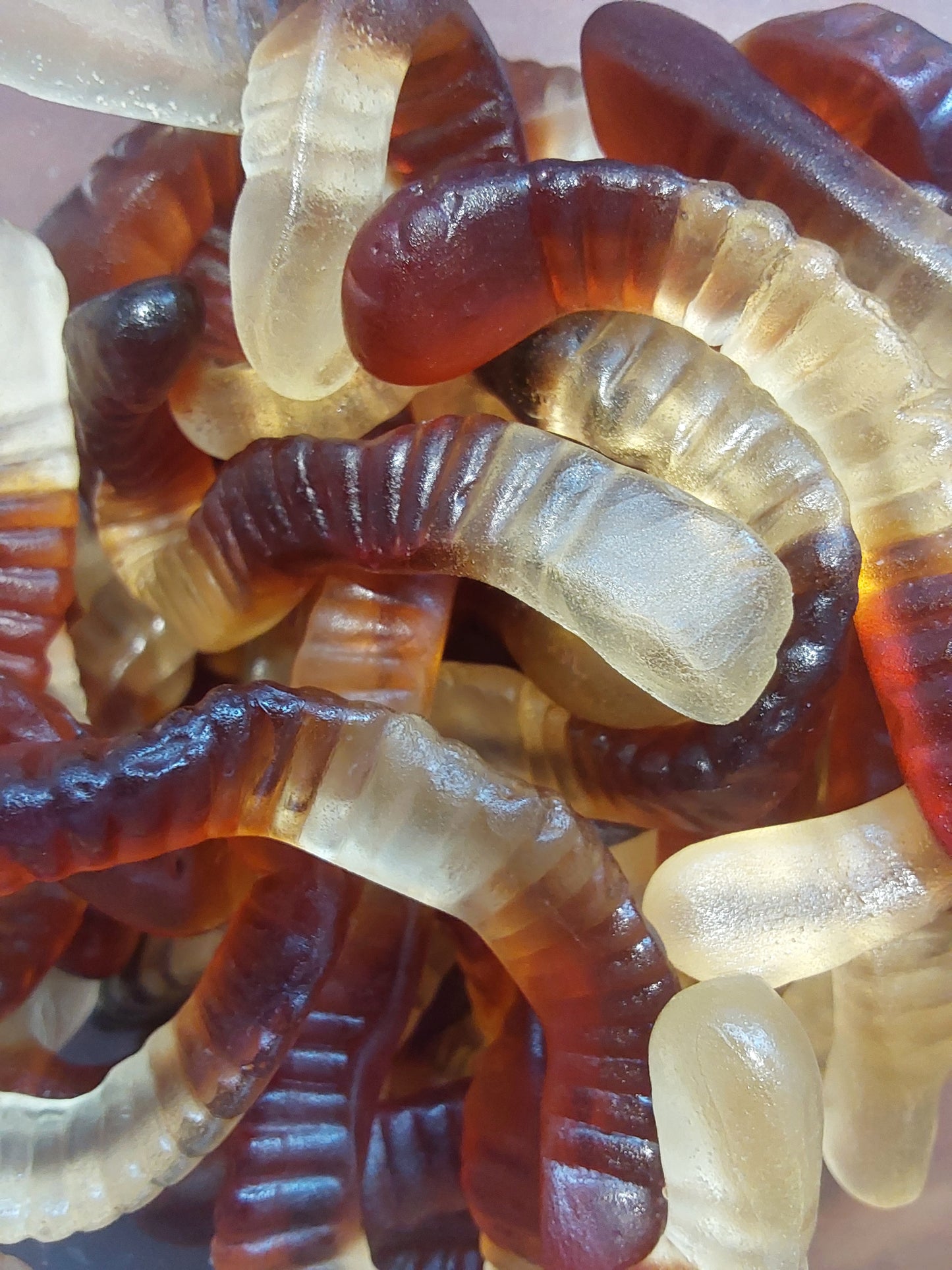 Vers de terre cola 100 g