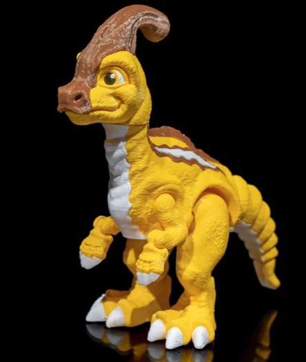 Parasolorophus multi couleurs