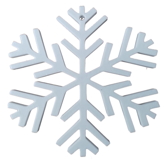 Flocon de neige flocon