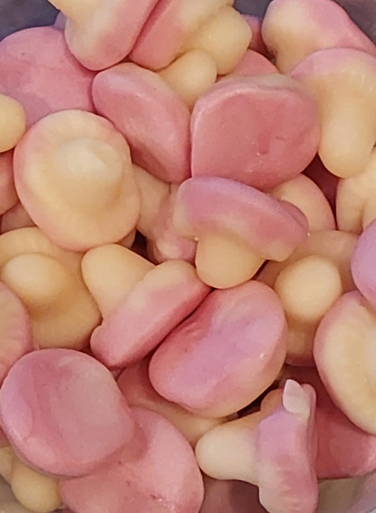 Champignon lisse 100 g