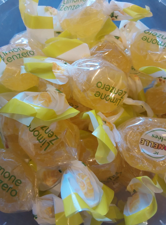 Végan goût Citron gingembre 100 g