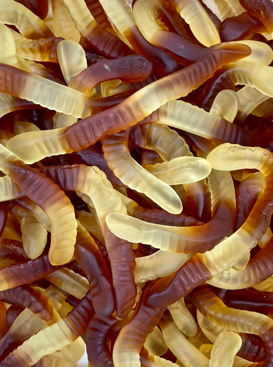 Vers de terre cola 100 g
