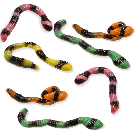 Anaconda géants