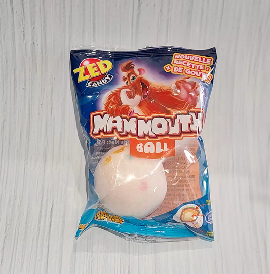 Balle de mammouth x 1