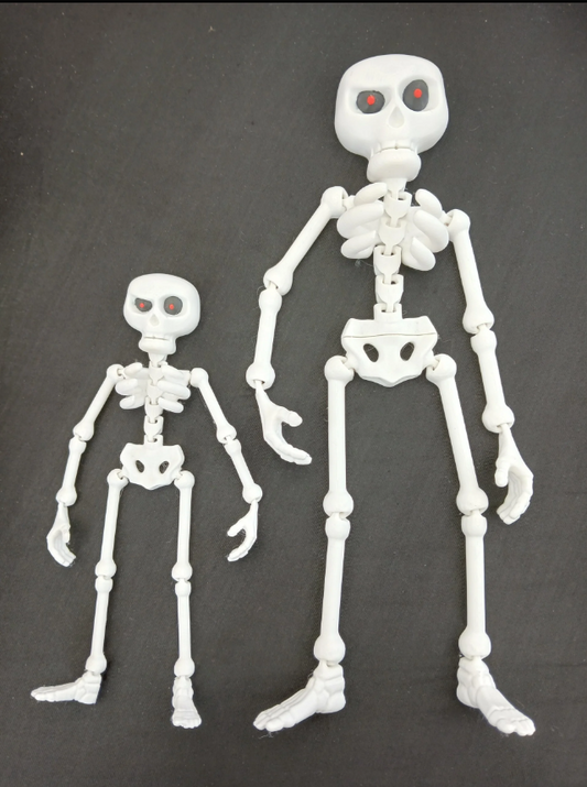 Petit squelette articulé