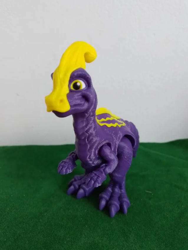 Parasolorophus multi couleurs