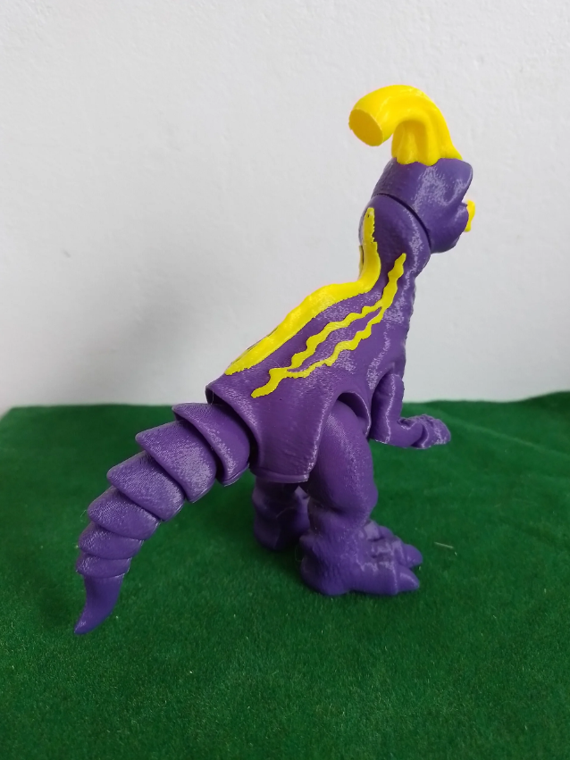 Parasolorophus multi couleurs