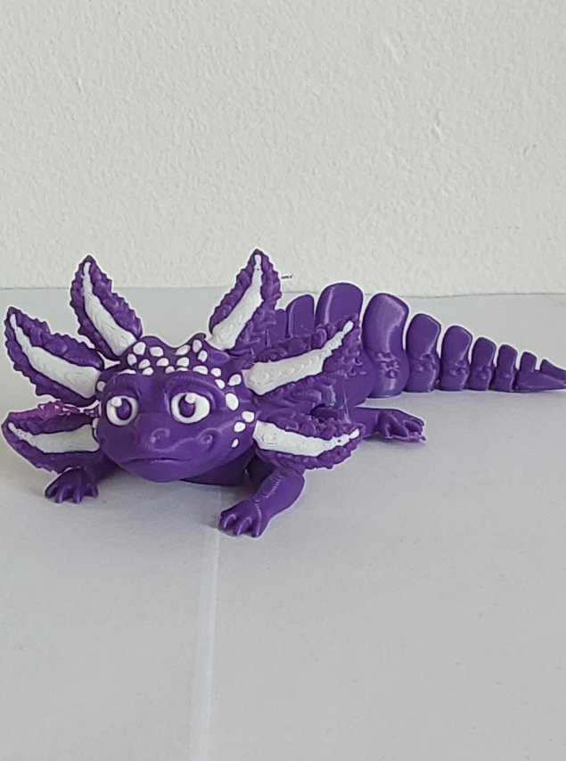 Axolotls bi couleurs moyen