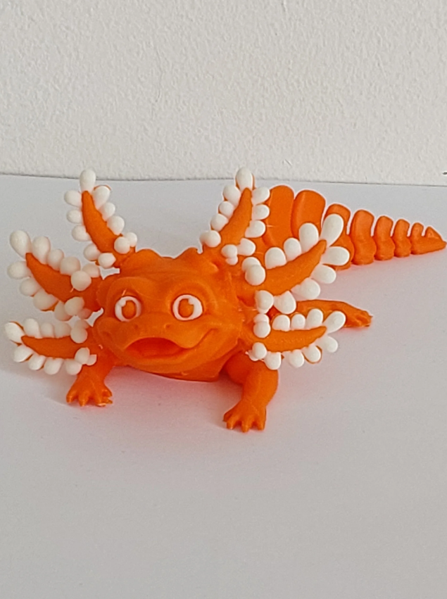 Axolotls bi couleurs moyen