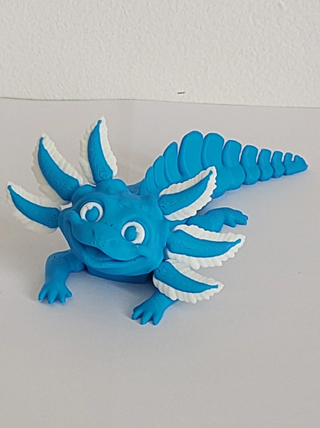 Axolotls bi couleurs moyen