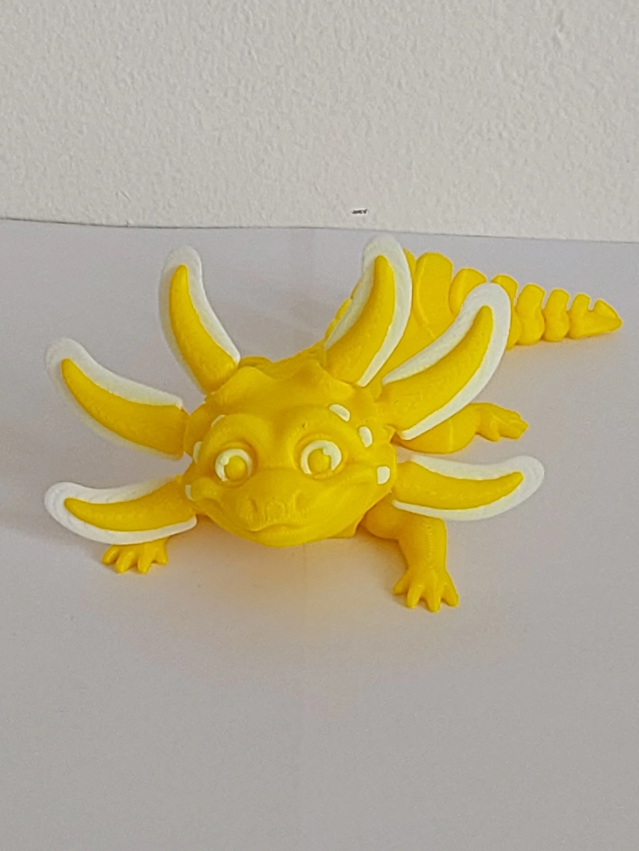 Axolotls bi couleurs moyen