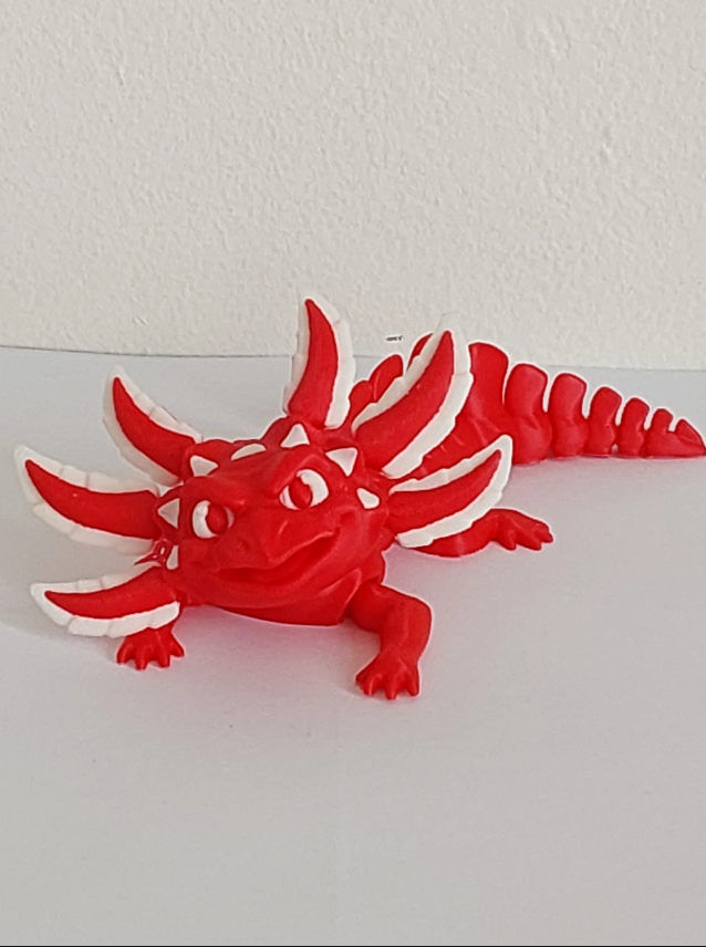 Axolotls bi couleurs moyen