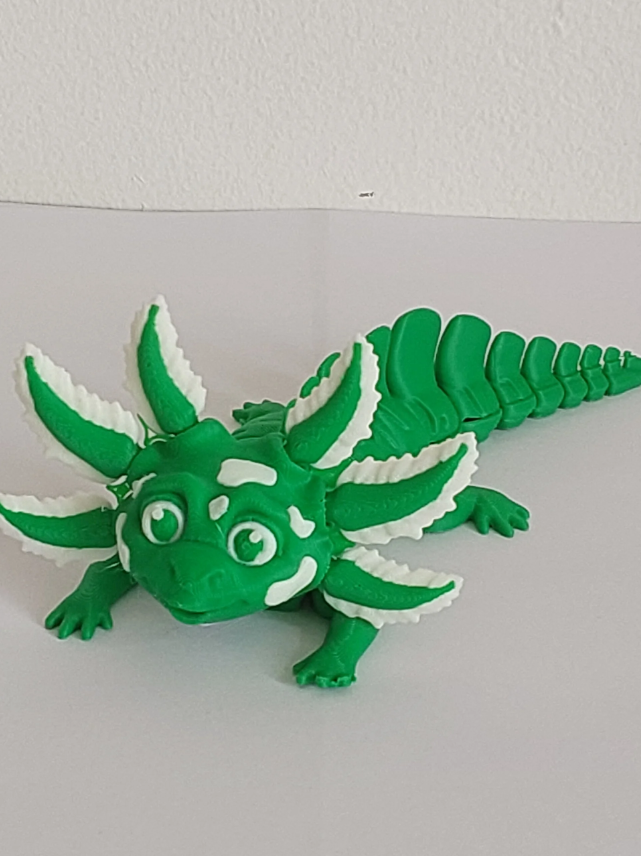 Axolotls bi couleurs moyen