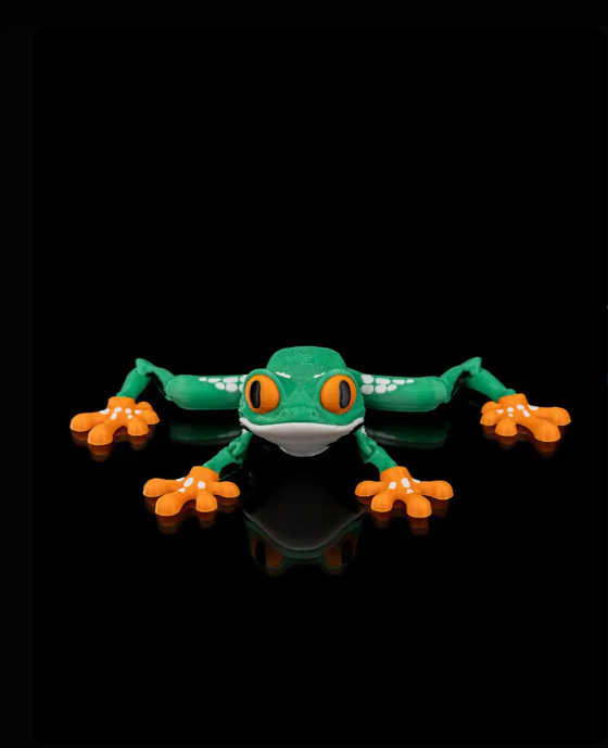 Reed, la rainette aux yeux orange