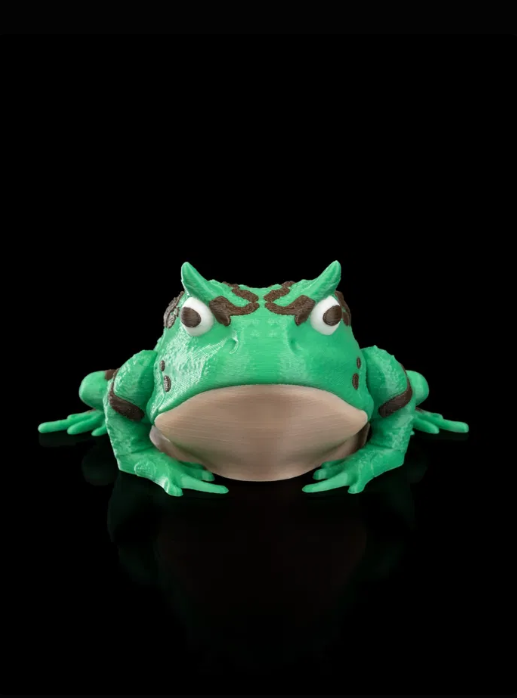 Harold, la grenouille cornue