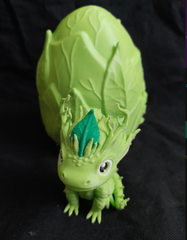 Œuf du dragon de la forêt